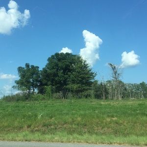 Meet your Posher, Janice